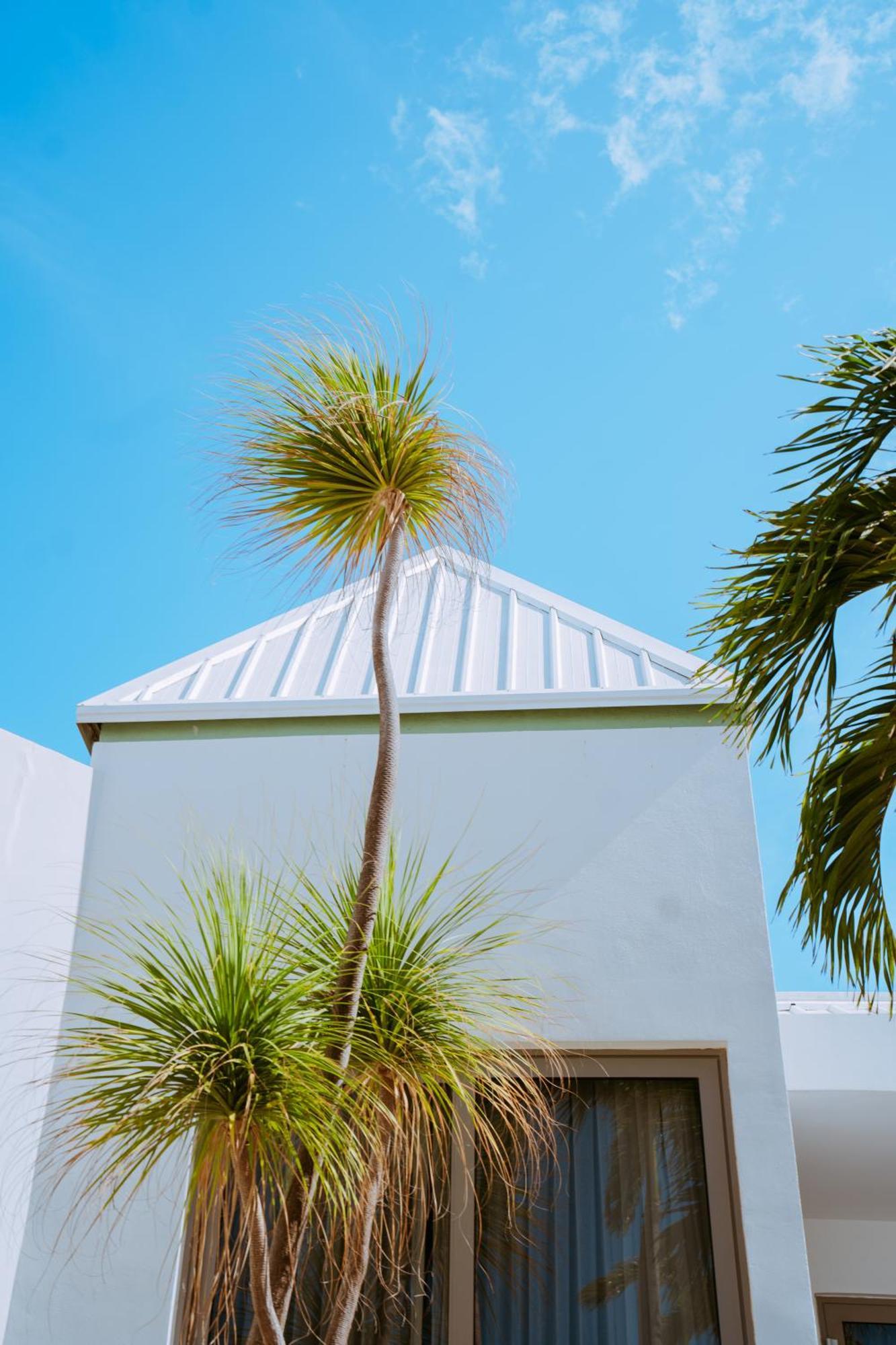 The Mill Resort And Suites Palm Beach Eksteriør billede